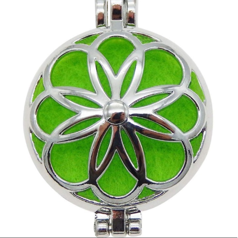 LARGE Essential oil Aromatherapy Pendant Locket - Picture 4 of 5